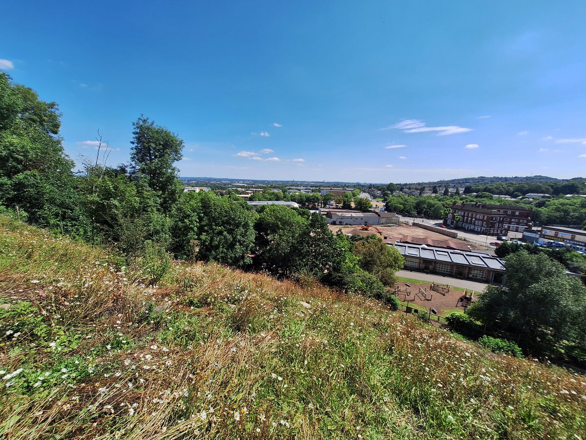 EcoRecord (@ecorecording) on Twitter photo Today, we were lucky enough to get the opportunity to survey some of the plants and invertebrates of the calcareous grasslands on the slopes of <a href="/dudleyzoo/">Dudley Zoo</a> <a href="/WTBBC/">Birmingham & Black Country Wildlife Trust</a> Today, we were lucky enough to get the opportunity to survey some of the plants and invertebrates of the calcareous grasslands on the slopes of <a href="/dudleyzoo/">Dudley Zoo</a> <a href="/WTBBC/">Birmingham & Black Country Wildlife Trust</a>