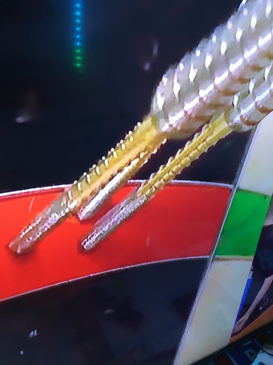 Rfcmiller86's tweet photo. @MatadorDarts Looks like a normal Swiss point to me but am just a rank amateur 🙈😂 https://t.co/vgRp8SpDsY