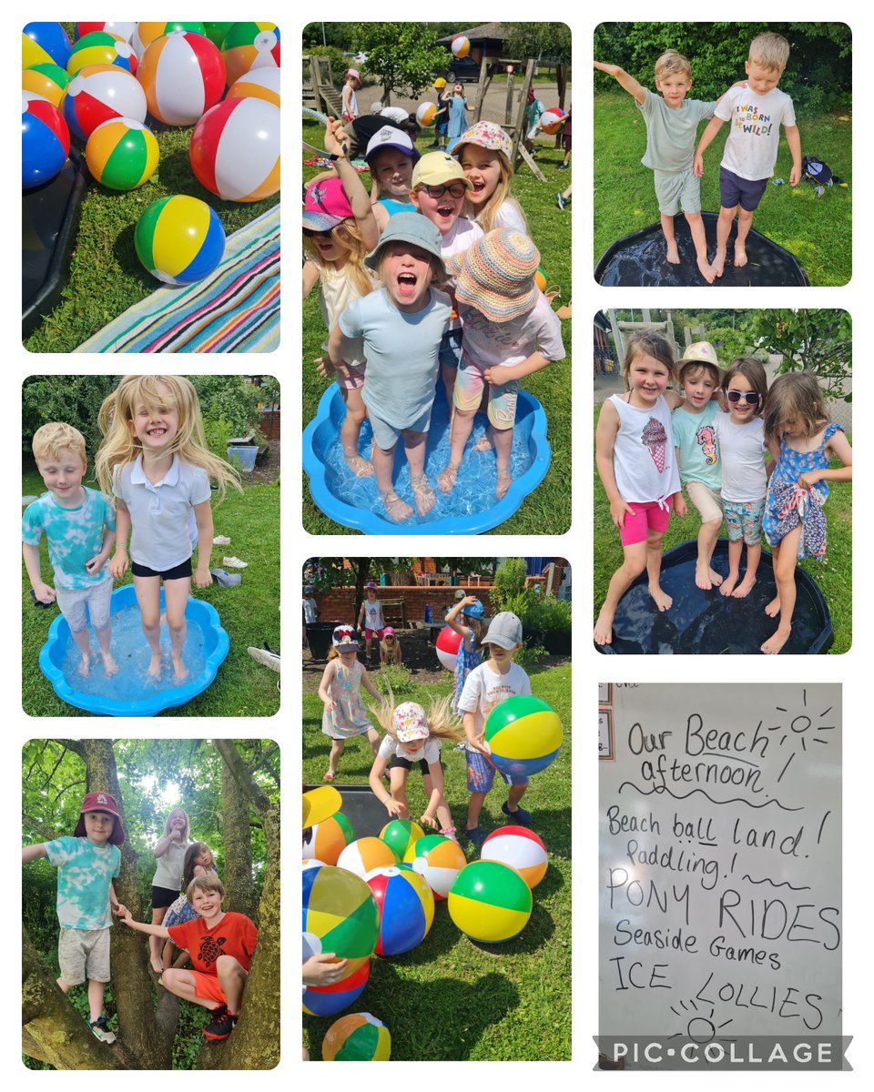 Kettlefields Primary tweet media