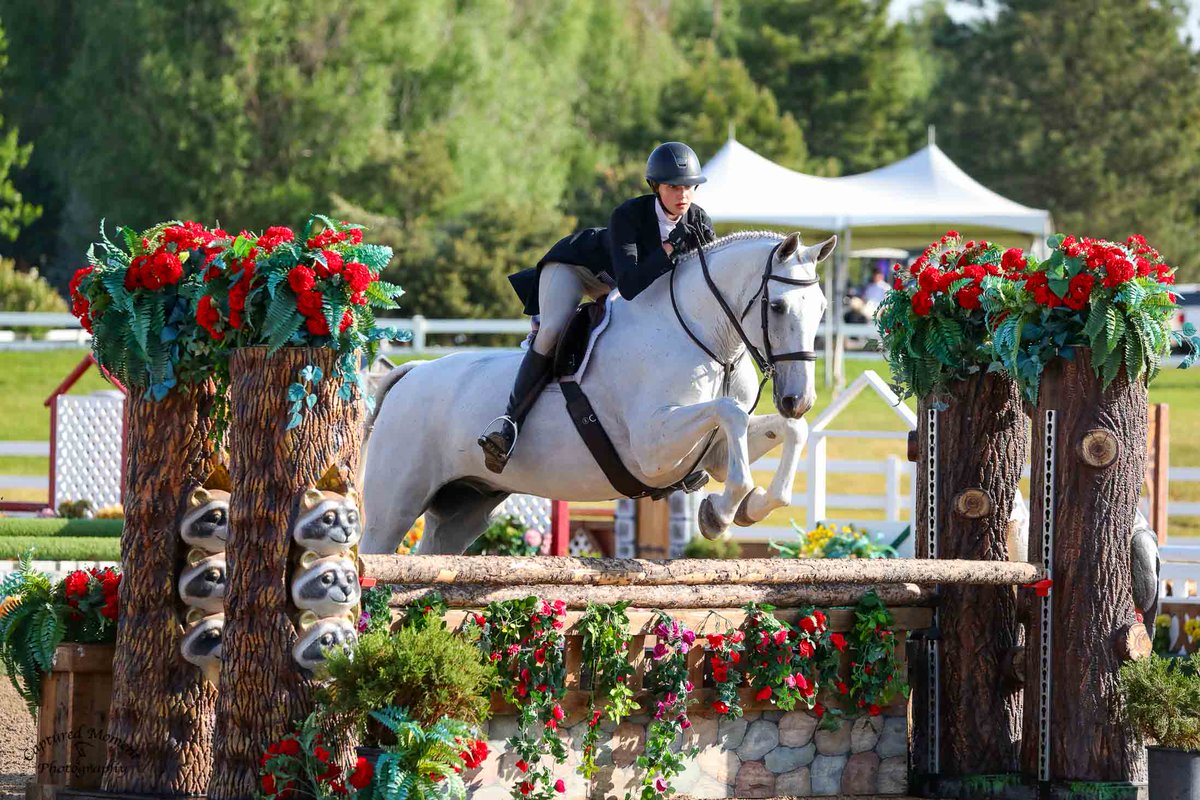 OSUEquestrian's tweet photo. 𝙎𝙪𝙢𝙢𝙚𝙧 𝙒𝙞𝙣𝙣𝙞𝙣𝙜𝙨: Cadence Kueker

🥇Champion Open 1.0m division in Show Jumping Classic

SIR I:
🏆 Adult Eq 18-35 Champion
🥇 1st NHS &amp; USEF Adult Medal
🥇 1st USJHA 3’3 Jump Seat adult medal

SIR II:
🏆 Adult Eq 18-35 Res. Champion
🥇1st Ariat Medal

#GoPokes https://t.co/pfGbEm4sEh