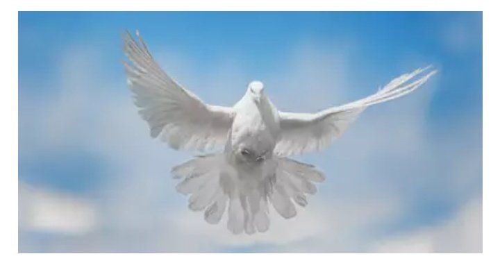 MabrukiRobert's tweet photo. KUNENA KWA LUGHA 

Practical Pneumatology 
Glossolalia
Nakusalimu kwa jina la BWANA YESU. Niliahidi kuja andiko ili kuchagiza ufunuo juu ya matendo ya kunena kwa lugha. Biblia inasema, "mambo ya rohoni yanaeleweka kwa wenye roho tu." Karibu twende pamoja. 
Uzi https://t.co/J0J7nRL9J7