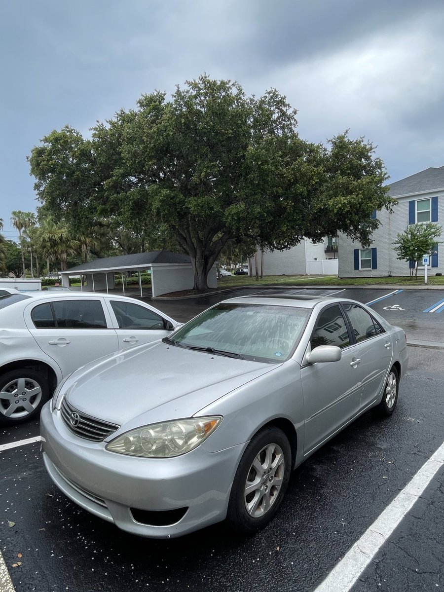 🌸Cherry🌸 tweet media