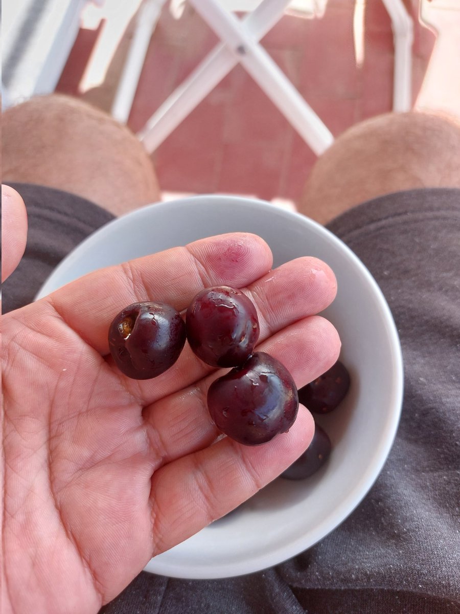 josemonty76's tweet photo. Picotas time, cherry time!!!🍒 #cherry #cherrytime #cerezas #picotas @PICOTADELJERTE #Jerte @ValleCereza @PICOTADELJERTE @Picotadeljerte2 https://t.co/sLXM8MI5oG