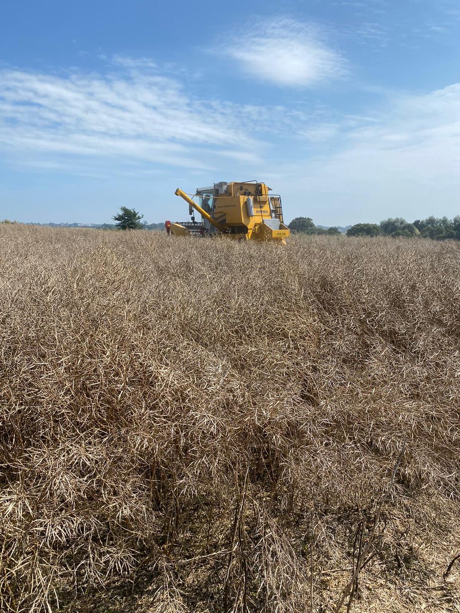Harvest 2024 has officially started today with 3 combines out, OSR being cut in Cambridgeshire and at Flawborough and another cutting barley in Dorset. 

Fantastic weather to have started in, keeping our fingers crossed for the rest of harvest!