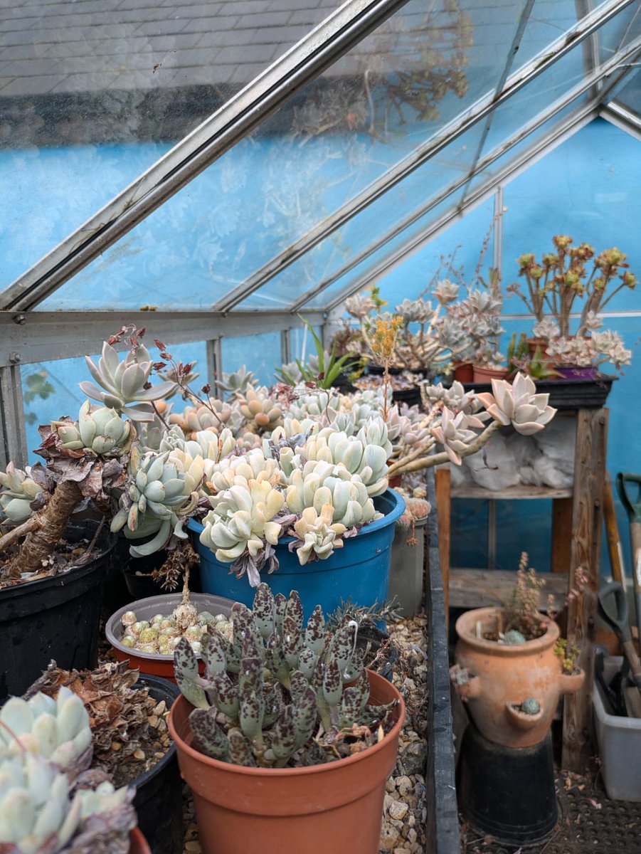 Hope Garden tweet media