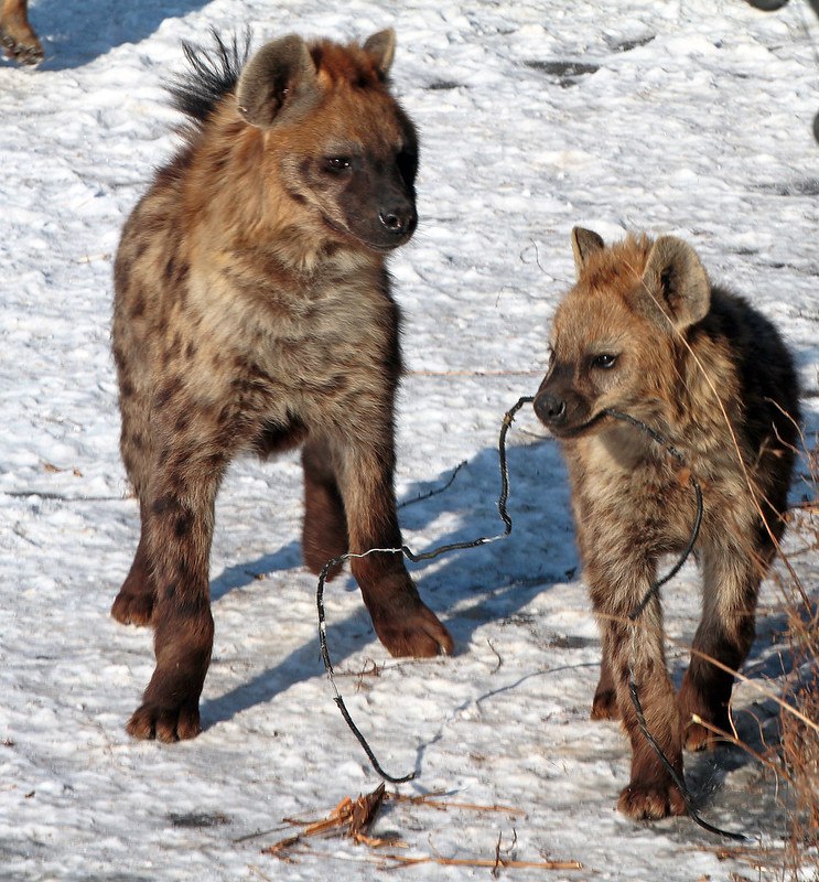 HourlyYeen's tweet photo. [🔗](https://t.co/Jd5G0HQ6yc) https://t.co/Dm63wrIWs7