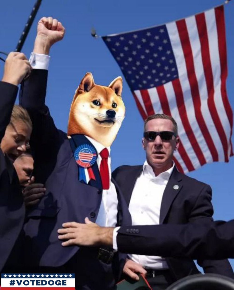 LariVoteDoge's tweet photo. Let’s keep the energy alive and push VoteDoge into the spotlight of both crypto and politics. #VoteDoge #Decision2024 https://t.co/JJg4r26B91