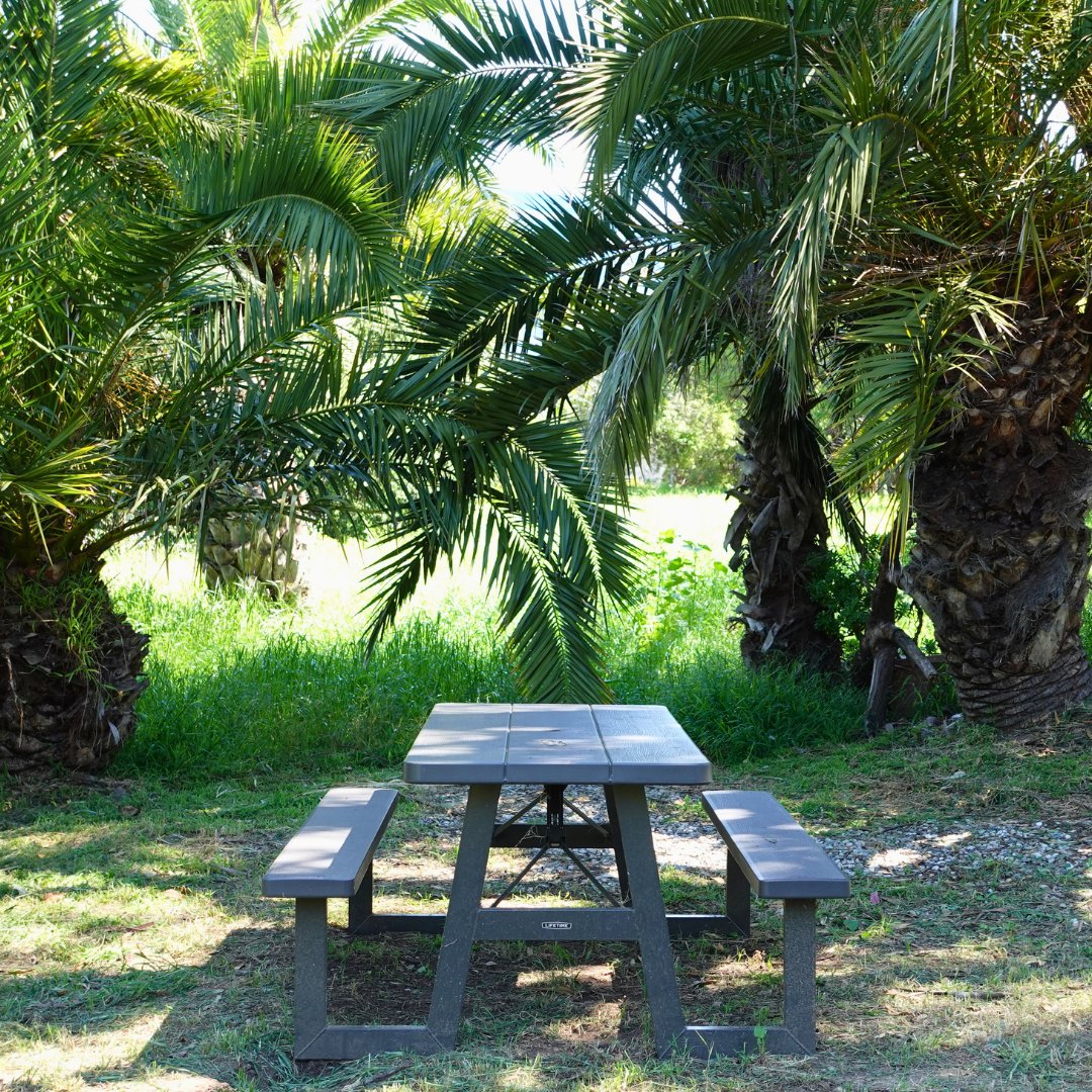 LAOPCenter's tweet photo. The perfect spot to relax and unwind here at LAOP ☀️🌴 If you're interested in learning more about how our personalized programs can help you, check us out at https://t.co/KLGCqTawBj. https://t.co/1w1pbIq9Cz
