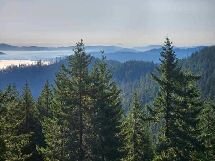 ODF Southwest (@swofire) on Twitter photo π
ππππππππ πΎπππππ πππππ ππππΌπ πππΏπΌππ: Firefighters worked overnight on numerous small fires along the lower Rogue River in Josephine County, making good progress on most incidents and extinguishing others. More info --> tinyurl.com/SWOinfo π
ππππππππ πΎπππππ πππππ ππππΌπ πππΏπΌππ: Firefighters worked overnight on numerous small fires along the lower Rogue River in Josephine County, making good progress on most incidents and extinguishing others. More info --> tinyurl.com/SWOinfo