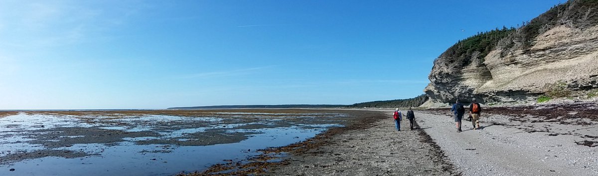 Delighted to have been awarded my first NSF grant with <a href="/Davey_F_Wright/">Dr. Davey F. Wright ⛏️🦕🧬</a> and Melanie Hopkins! This will allow us to continue our work on the Late Ordovician mass extinction through phylogenetic approaches and fieldwork on Anticosti Island, Quebec!
nsf.gov/awardsearch/sh…