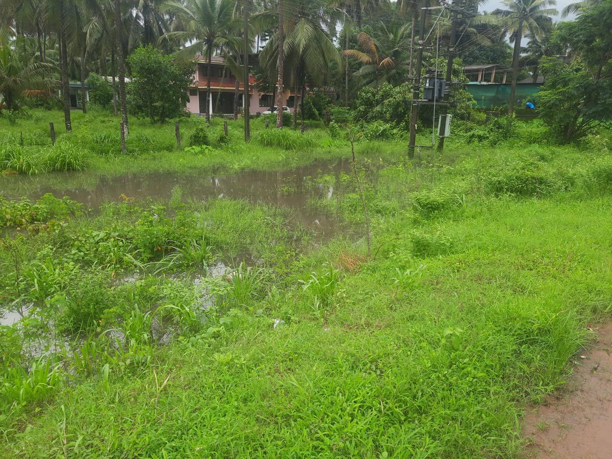 SuB8s's tweet photo. @MESCOM_Official @NHAI_Official @OfficeOfNG 
NHAI and Mescom (loc code 2120201) is ignoring the water drainage near NH 66 near Karnataka kota and waiting for the disaster to happen with a submerged transformer, poor mescom lineman and pedestrians have to risk thier lives. https://t.co/MuKEgH8LwH