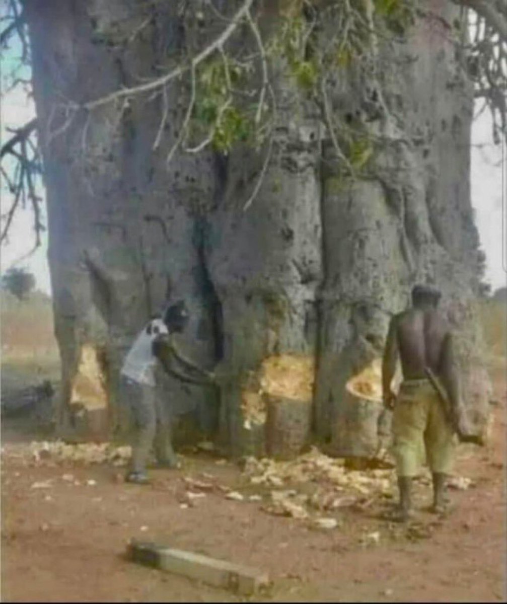 KomugishaPeace's tweet photo. Us trying to overthrow the ruling government 😂😂😂😂 https://t.co/yRuygpQozf