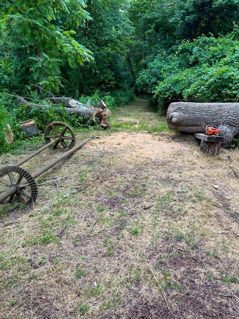 WashXingPark's tweet image. This summer, we’re continuing to make improvements around the park ✨A big tree fell down on one of the walkways in the upper park next to the Thompson-Neely Grist Mill 🌳 Thank you to @TTTreeServices who removed it 🪵 #Arborist #ParkMaintenance #TreeCare #WashingtonCrossingPark