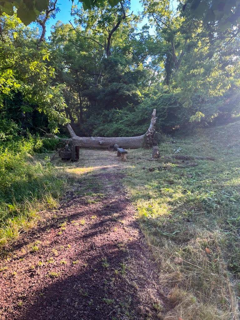 WashXingPark's tweet image. This summer, we’re continuing to make improvements around the park ✨A big tree fell down on one of the walkways in the upper park next to the Thompson-Neely Grist Mill 🌳 Thank you to @TTTreeServices who removed it 🪵 #Arborist #ParkMaintenance #TreeCare #WashingtonCrossingPark