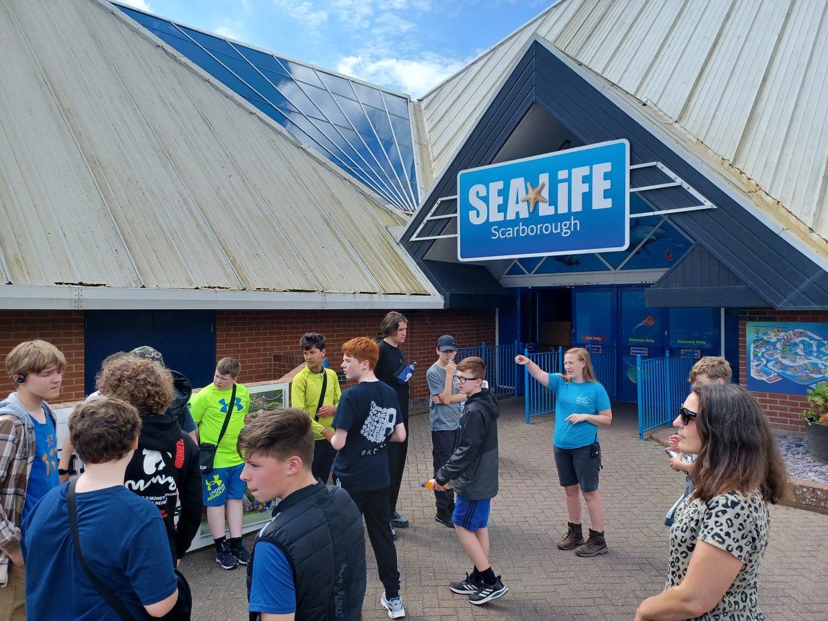 music_sfx tweet media