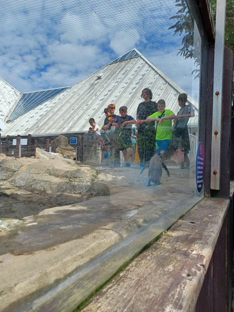 music_sfx tweet media