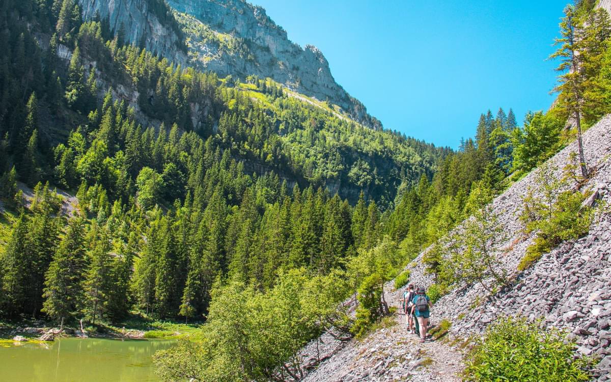 FLAINESki's tweet image. Partons à la découverte... ✨ 
du lac de Flaine et de ses paysages incroyables ! 😍
#cacestflaine #nature #balade #rando #famille #enfants #flore