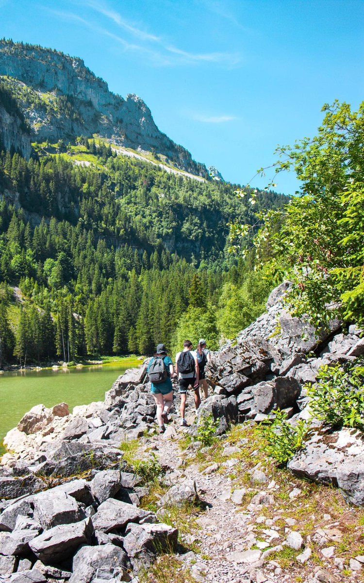 FLAINESki's tweet image. Partons à la découverte... ✨ 
du lac de Flaine et de ses paysages incroyables ! 😍
#cacestflaine #nature #balade #rando #famille #enfants #flore