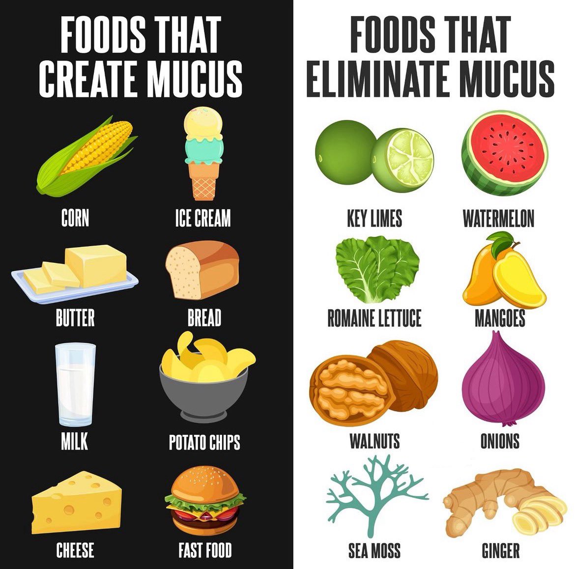 FredsFarm247's tweet photo. Foods the create mucus vs Foods that eliminate mucus👇🏽👇🏽 https://t.co/uwye7djSdP