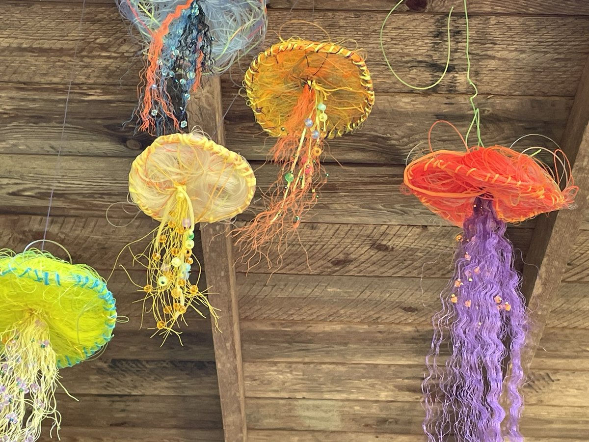 cpsmyers's tweet image. Last day at Hog Island Audubon Educators Week. This is one of the most incredible PD experiences I have had. @CPSDrWoods #cpsscience