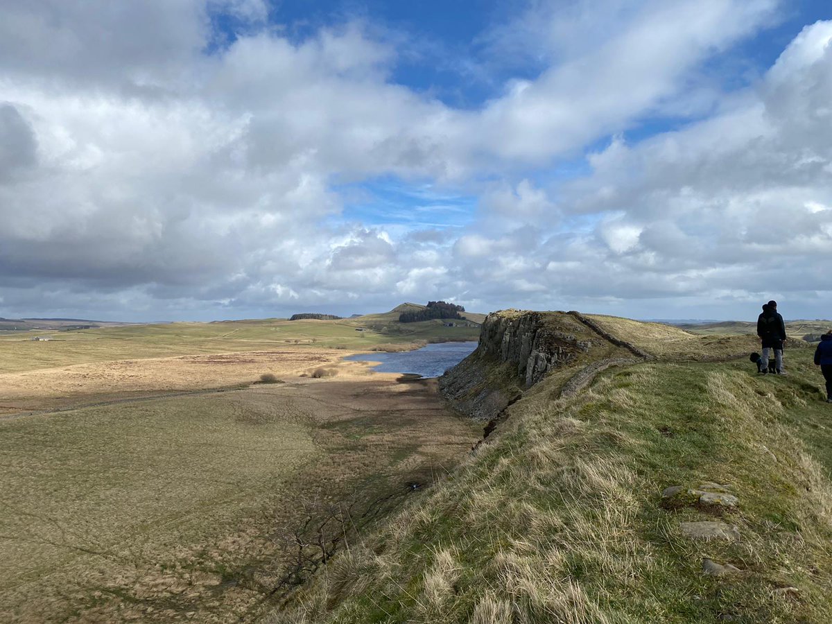 Project North Star tweet media