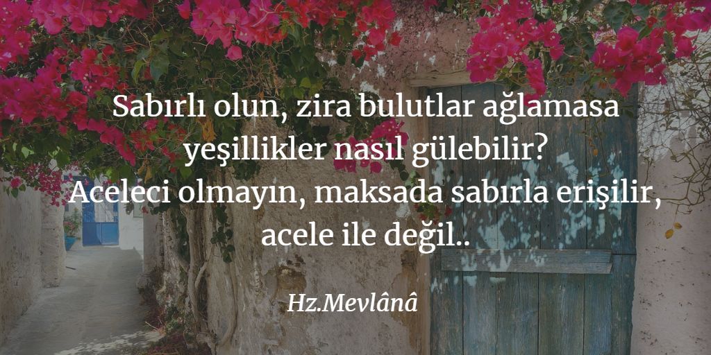 ziyaugurtr's tweet photo. https://t.co/VvmqI9tQCK