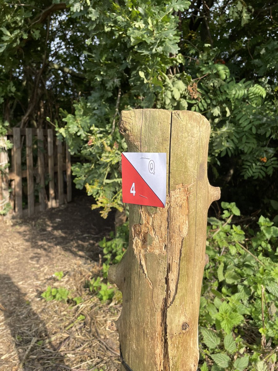 The children in KS2 enjoyed the lovely weather by taking part in some orienteering. We use our excellent teamwork and map reading skills!