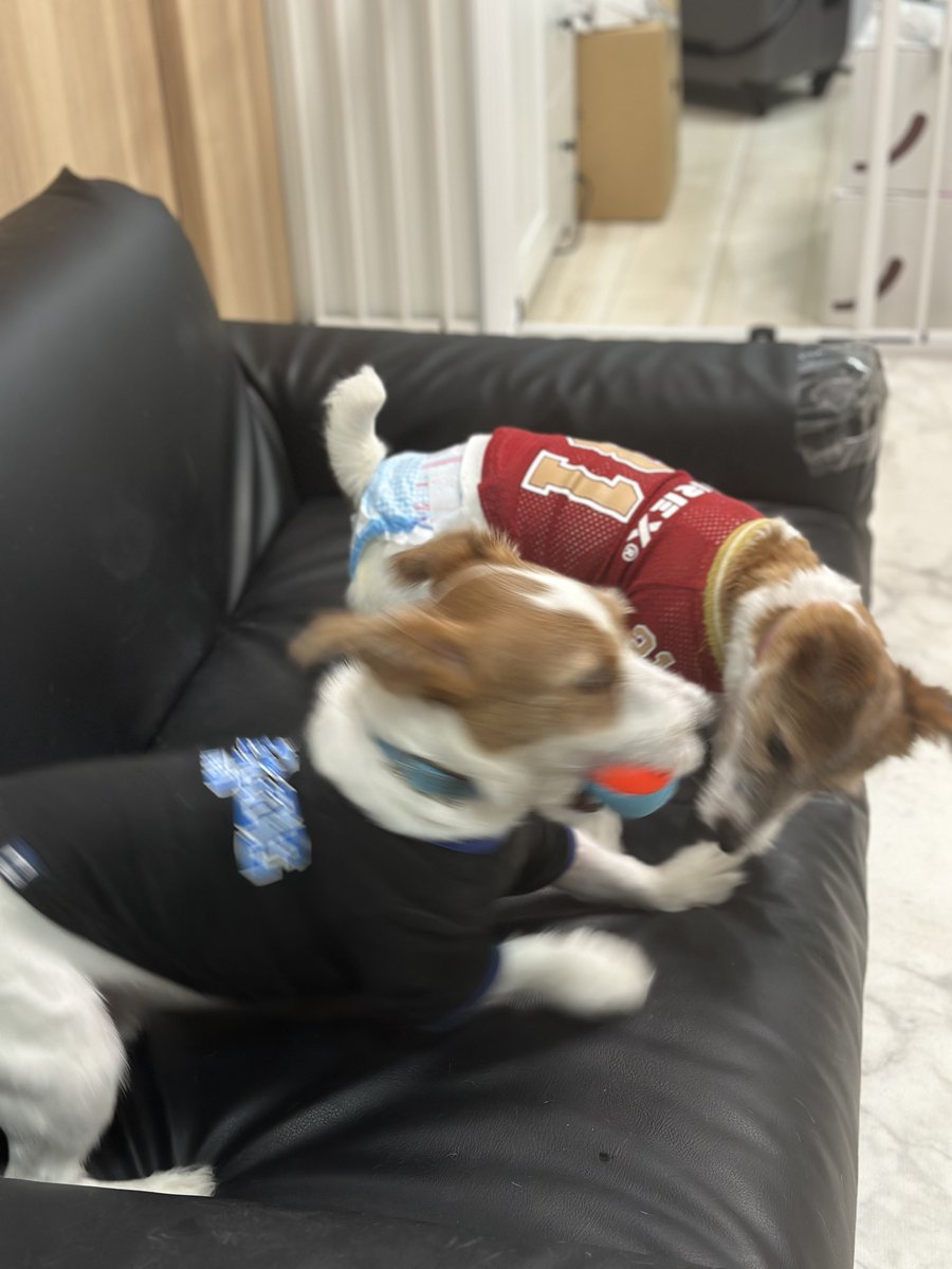 堂村璃羽 / Riu Domura (@rdg0112) on Twitter photo 