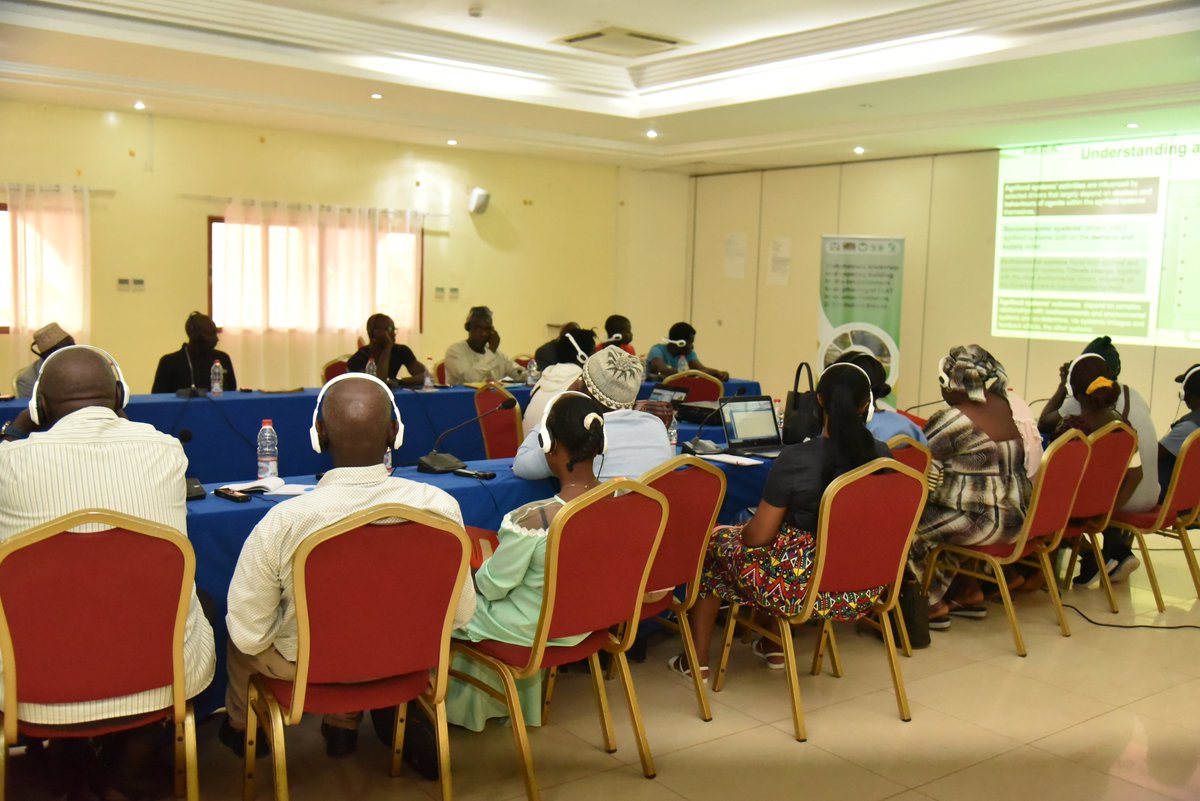 FARAinfo's tweet image. The @Taat_Africa #CDTO from #FARA has been in Guinea Bissau since Monday, July 15, in partnership with #INPA-Guinea Bissau, the Cassava Compact from @IITA_CGIAR, @WFP and #ANCEVART_GB, is strengthening #TAAT Innovation Platforms #IPs in the country. The five-day workshop...

1/2