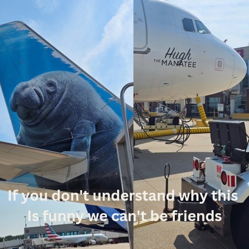 If you don't get this, we can't be friends
#Frontier #dadjokes