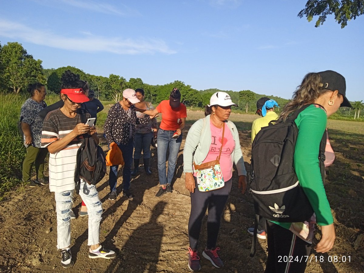 Nuria731022's tweet photo. En intensa jornada de trabajo voluntario participa la #DMTSS en #Yaguajay en la finca Santa Rosa de la Empresa Agropecuaria Obdulio Morales en saludo al 26 de julio
#SanctiSpíritusEn26 https://t.co/r88nlucOLl