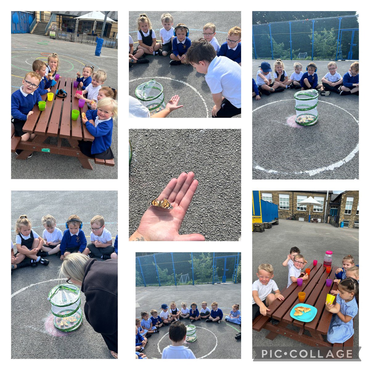 stjosephskly's tweet photo. The nursery children have looked after their butterflies so well. We have shown care and curiosity for living things and today they were ready to go out into the big wide world. ππ¦ #Cherryclass #eyfs #SJKscience @bcw_cat https://t.co/z4BOtiKuPe