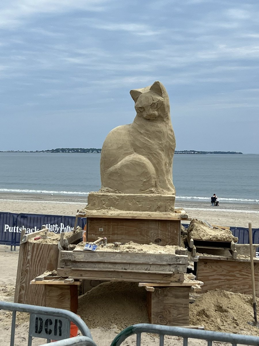 Matthew Estaphan tweet media