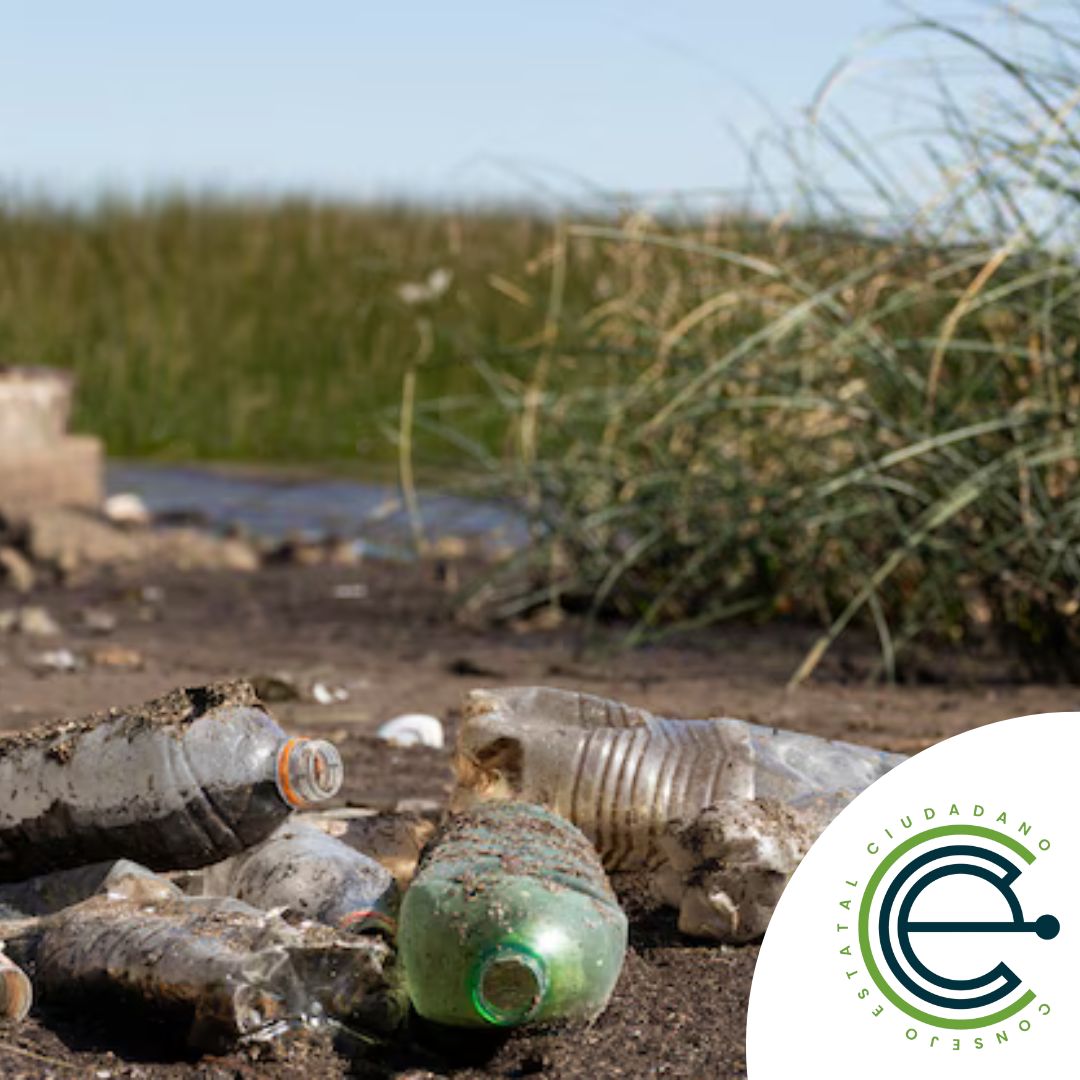 ¡El futuro depende de nosotros! 📷📷
Cada vez que reutilizamos y reciclamos, estamos ahorrando agua y energía. Adoptar hábitos responsables en nuestro día a día puede hacer una gran diferencia en la conservación del agua. 📷📷