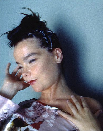 dailybjork's tweet photo. björk in 1997 by Eitan Lee https://t.co/06dco1JDYx