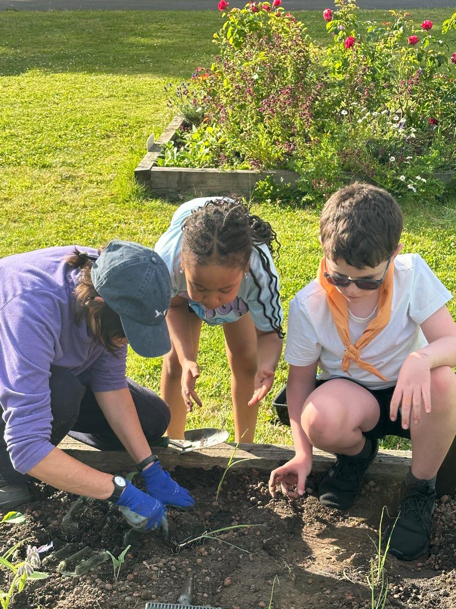 7thFairfield's tweet photo. @LBimo1 @FOSPLiverpool @usera7078 @RHSBloom @CompostWorksUK @dunbarrover @ParksCommUK @NWIBofficial The 7th Fairfield love working with Laura and Barbara and @FOSPLiverpool https://t.co/ZqfWg0jUAw