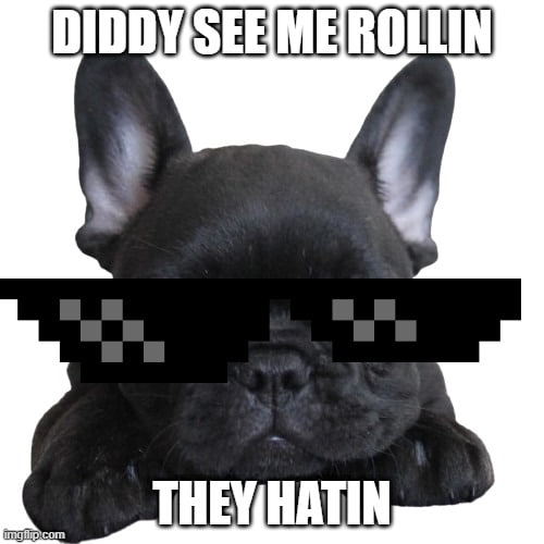 Diddy The Dog tweet media