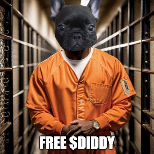 Diddy The Dog tweet media