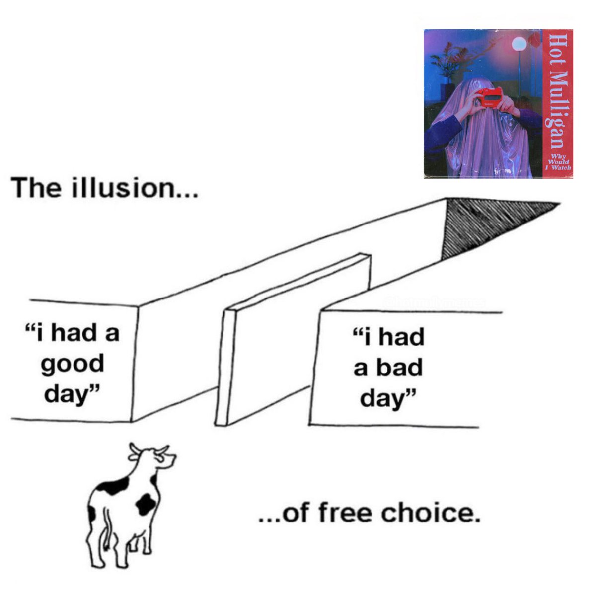 Hot Mully Memes (@hotmullymemes) on Twitter photo 