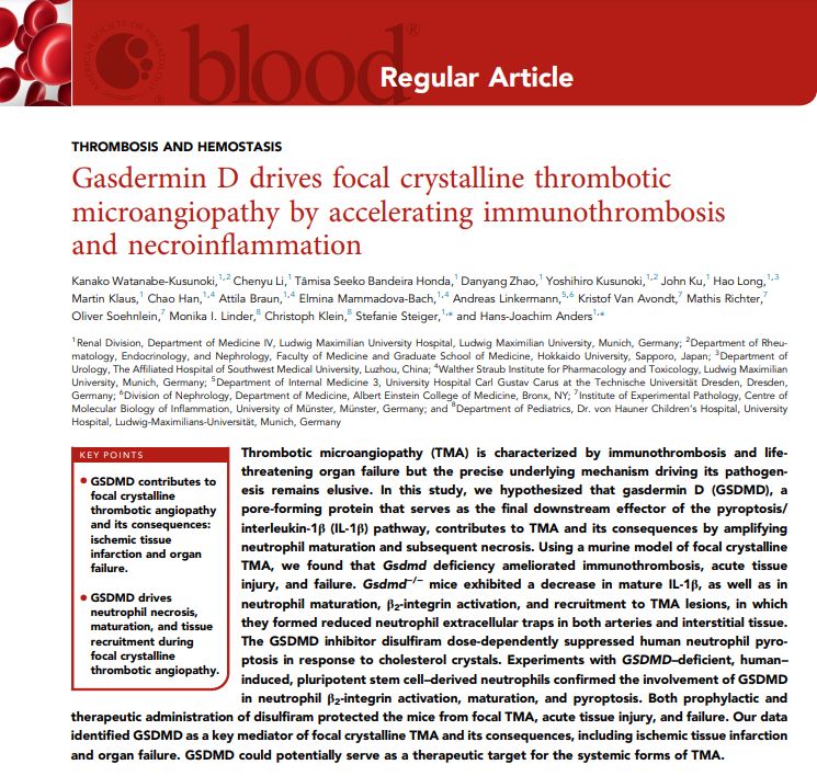 Hans-Joachim Anders (@hjanders_hans) on Twitter photo Happy about this tripleX:
Title page and editorial on our kidney paper in BLOOD (journal) about gasdermin D in renal TMA
<a href="/CRC_TRR332/">CRC TRR332</a> #neutrophil biology
Free link: authors.elsevier.com/a/1jS42_9T5u7hK
Editorial: ashpublications.org/blood/article/… Happy about this tripleX:
Title page and editorial on our kidney paper in BLOOD (journal) about gasdermin D in renal TMA
<a href="/CRC_TRR332/">CRC TRR332</a> #neutrophil biology
Free link: authors.elsevier.com/a/1jS42_9T5u7hK
Editorial: ashpublications.org/blood/article/…