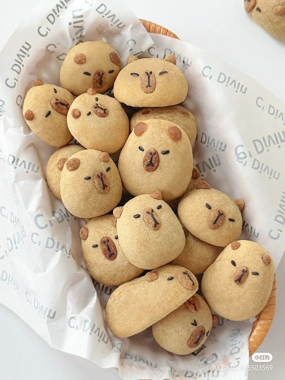 Dolce (@daily_dolce) on Twitter photo 