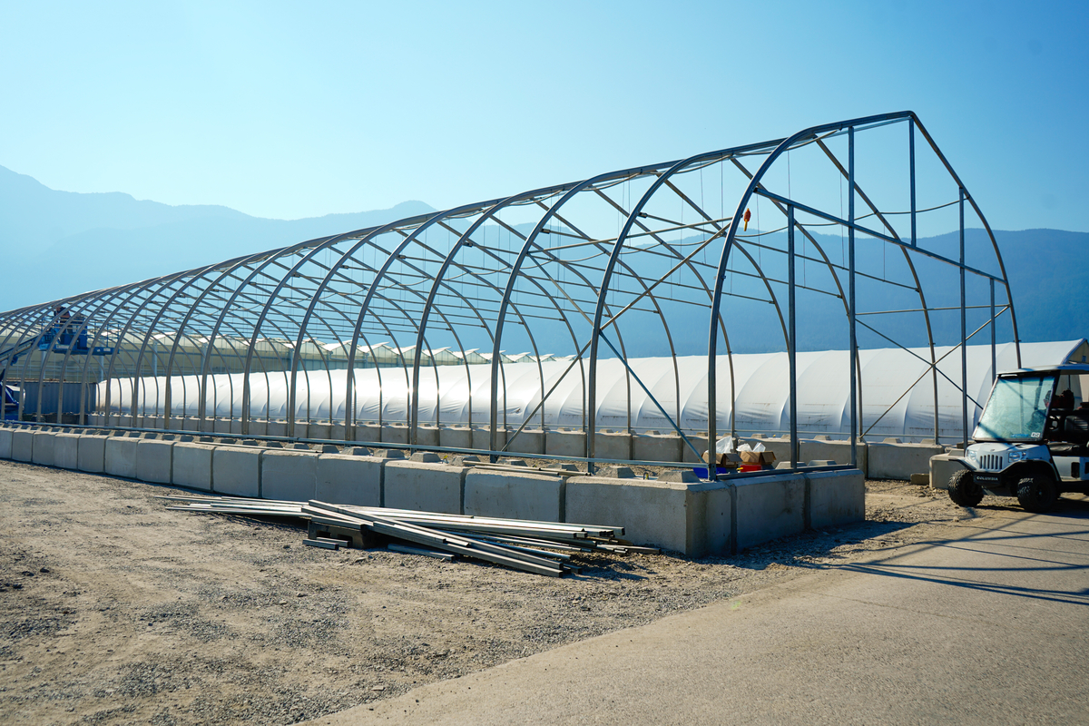 Qualitree tweet media