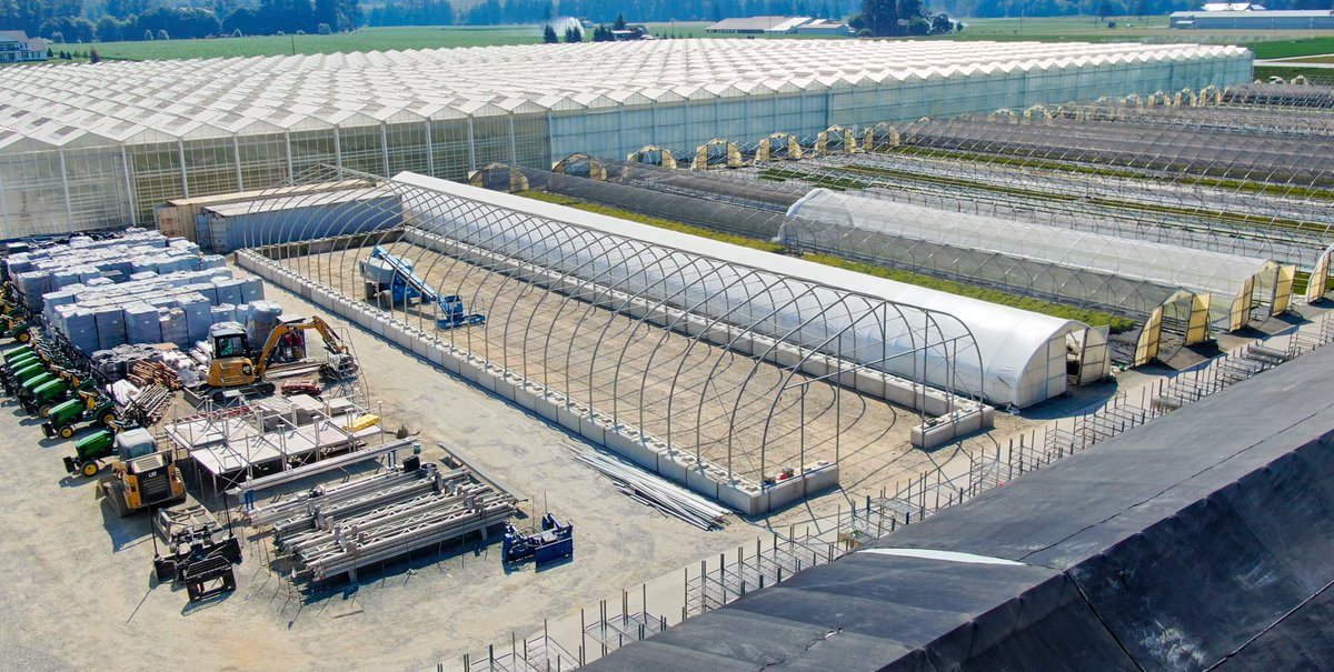 Qualitree tweet media