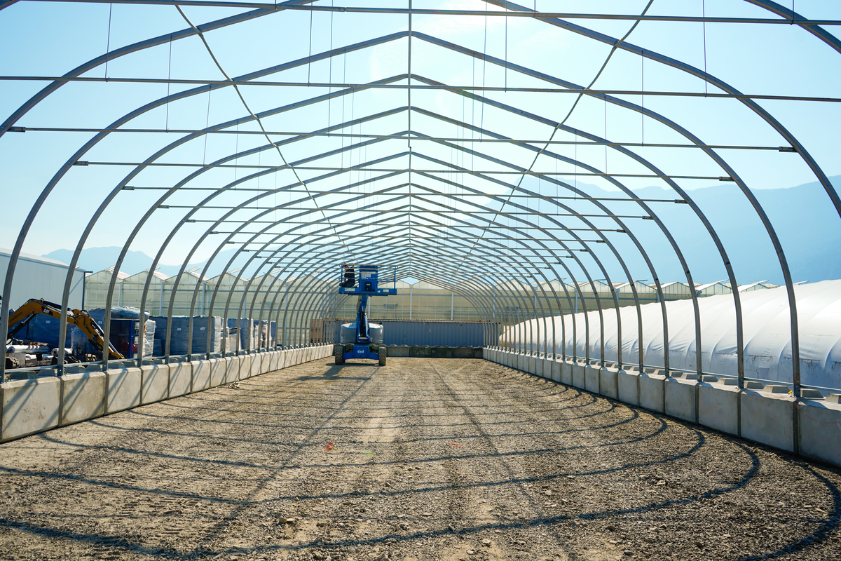 Qualitree tweet media