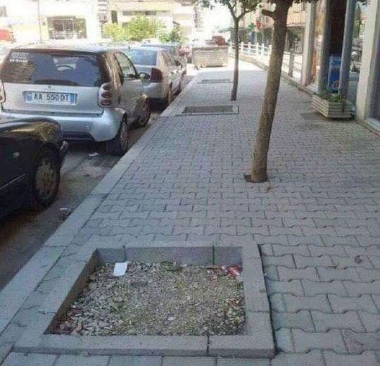 Sr_Donze's tweet photo. Cuando se te mueven los bloques de vegetación en Autocad y el constructor interpreta el plano al pie de la letra. https://t.co/E7ajSqCiTV
