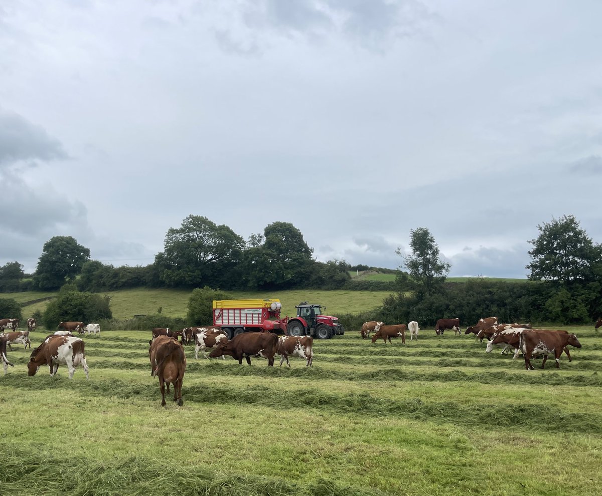 James Robinson tweet media