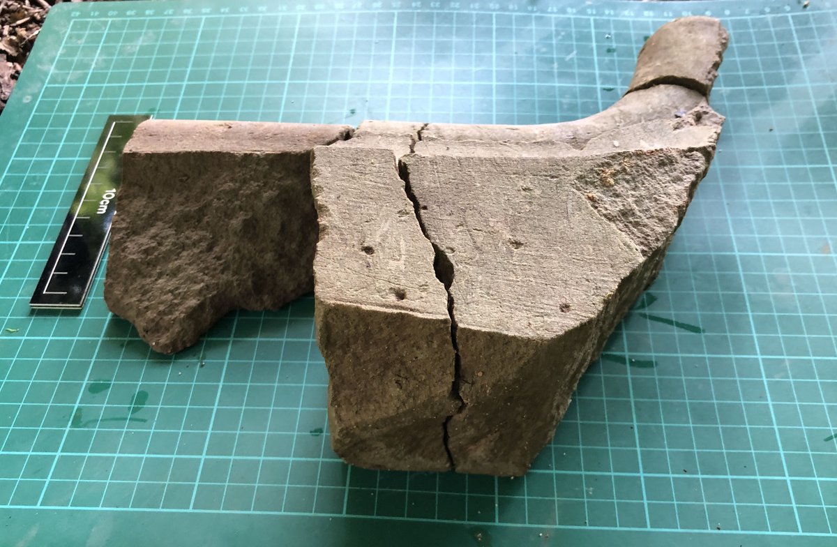 Wonderfully tactile toolmarks  

#ElsyngPalace #Tudor #Archaeology