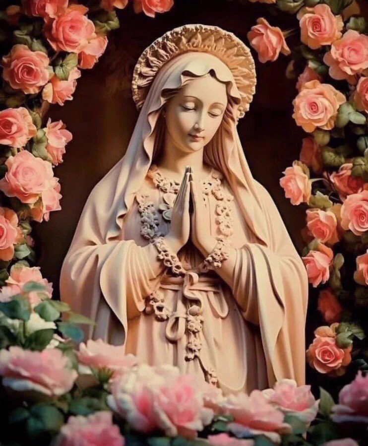 "En los peligros, en las angustias, en las dudas,
piensa en María, invoca a María”.

San Bernardo

#SalveReina