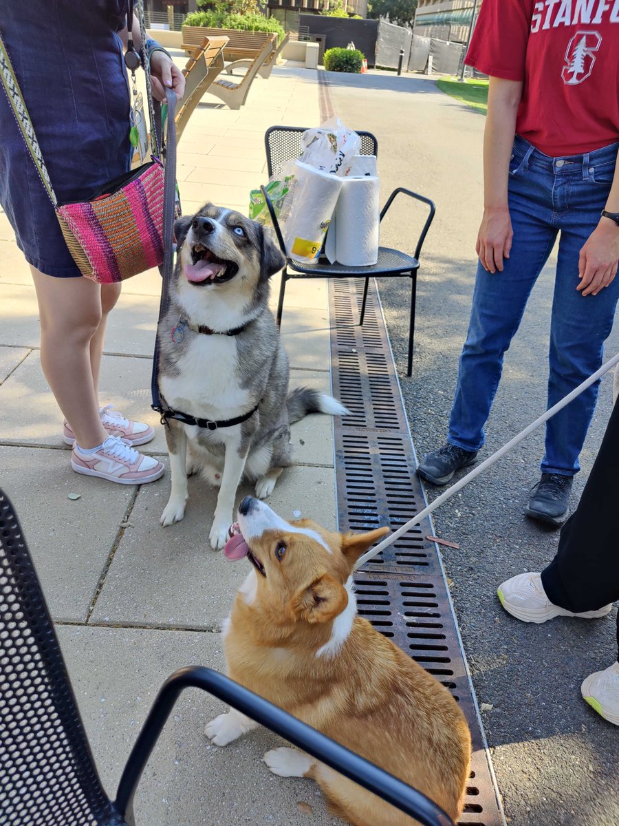 CongreveLab's tweet image. Summa summa summa time! 😎
Joint chem dept summer bbq hosted by us, @daniellejmai lab, and Liu lab last Friday.