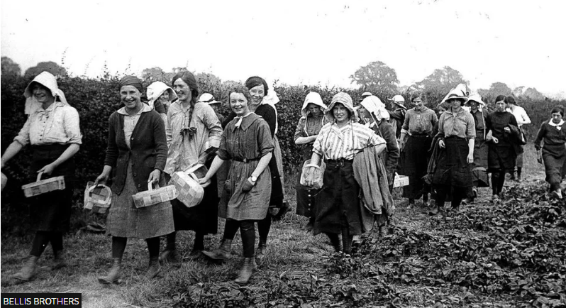 Alton Benes tweet media